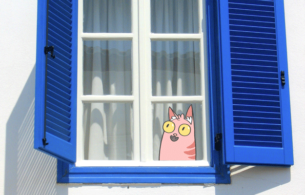 kedilerin-hareketlerinin-anlamlari-pencerede-dikilmek