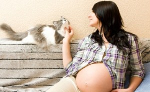 hamilelikte-kedi