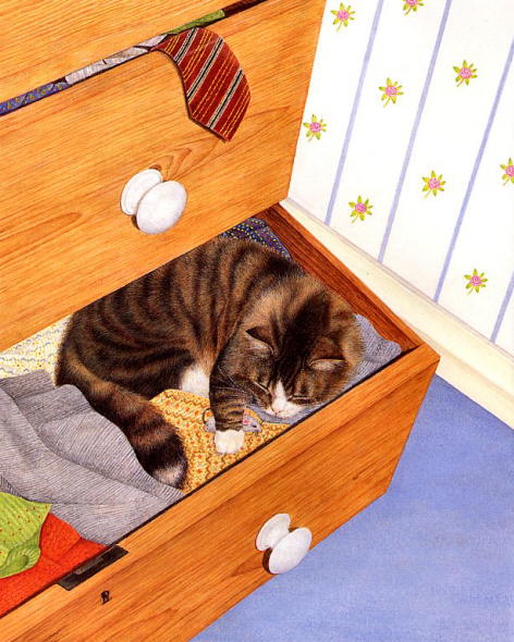 kediler-her-yerde-uyuyabilir-patiliyo-14