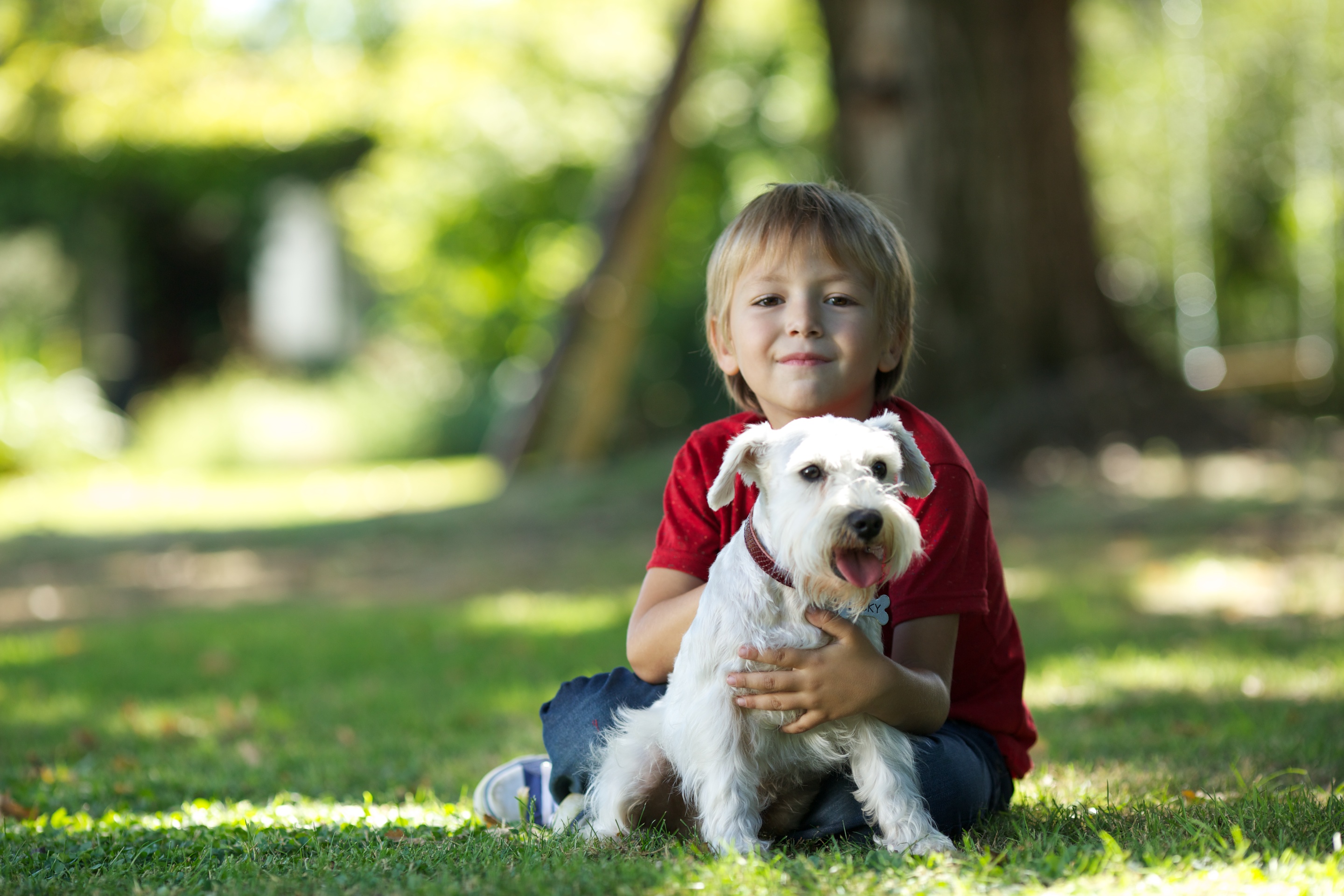 Teen pet. Домашние животные для детей. Собака для детей. Мальчик с собакой. Дети с животными.