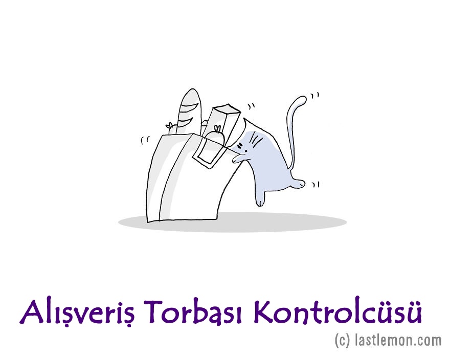 alısveris-poseti-kontrolcusu