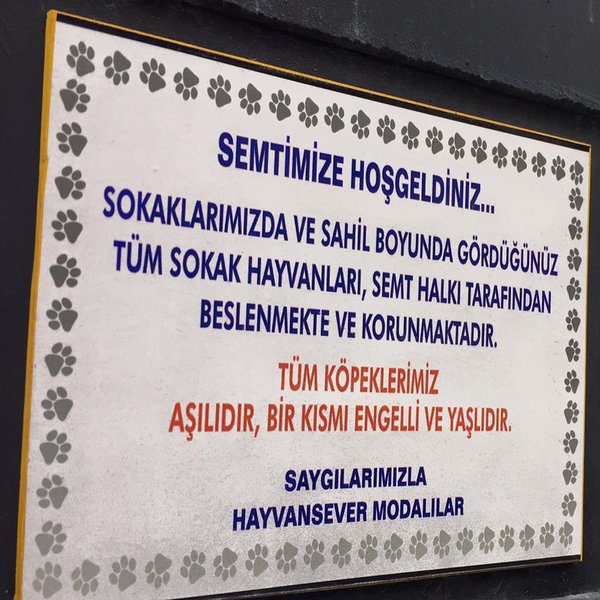 hayvansever-modalılar-kadıköy