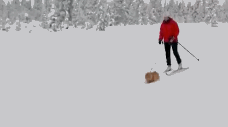 jesper-kayak-yapan-kedi