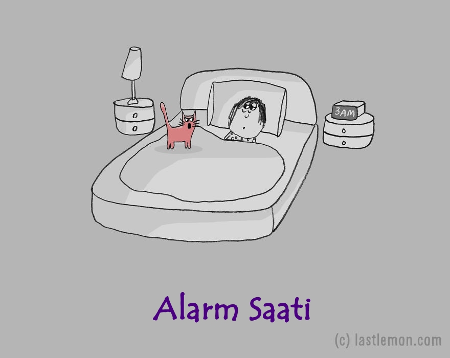 kedi-meslekleri-alarm-saati