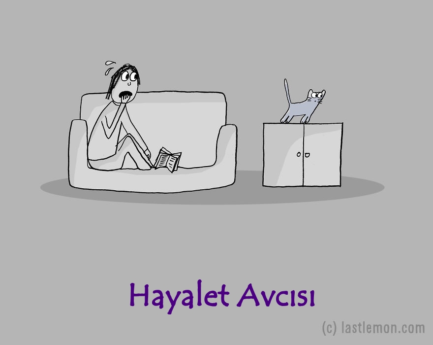 kedi-meslekleri-hayalet-avcisi