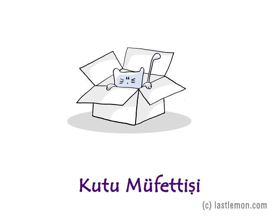 kedi-meslekleri-kutu-mufettisi