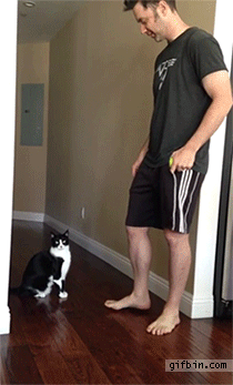 kedi-sarılma-patiliyo-komik
