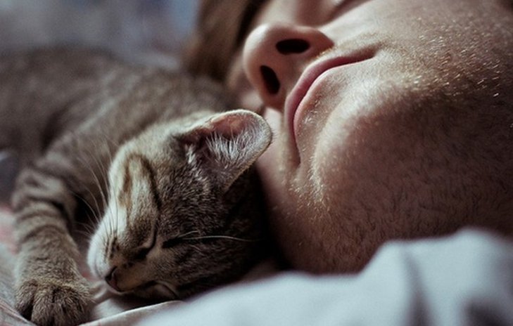 kediler-nankör-değildir-uyumak