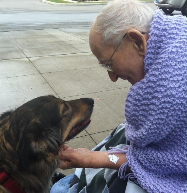 köpek bakmanın faydaları