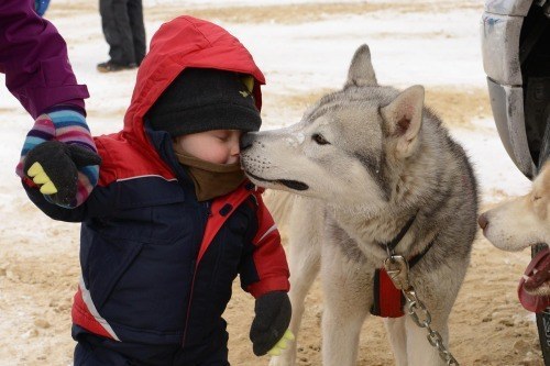 köpek bakmanın faydaları