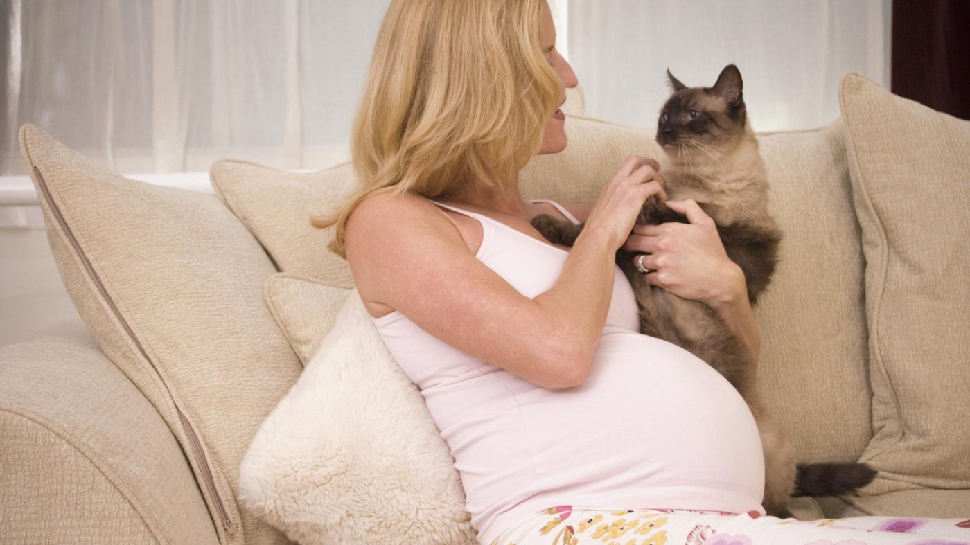 hamilelikte kedi beslemek guvenli midir