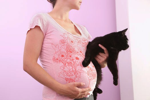 hamilelikte-kedi-beslemek-guvenli-midir-2