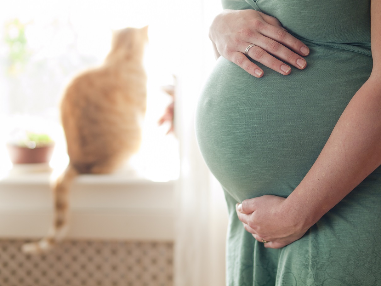 Pregnant young woman expanding the family with a cat in the background