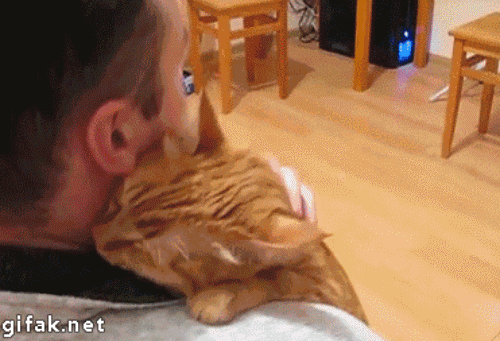 kediye sarılmak