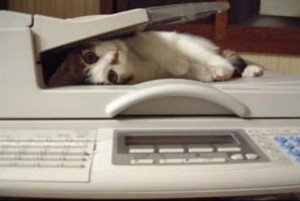 faxcat