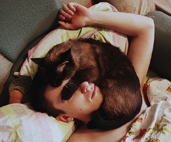 kediler-her-yerde-uyuyabilir-patiliyo-18
